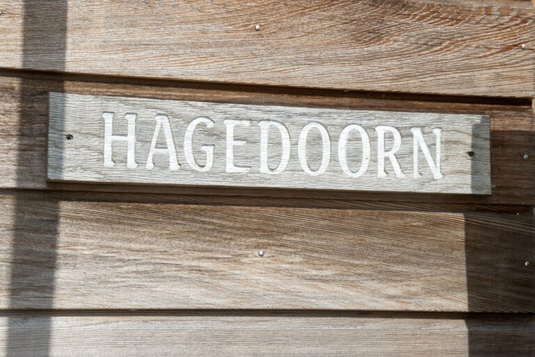 Hagedoorn1