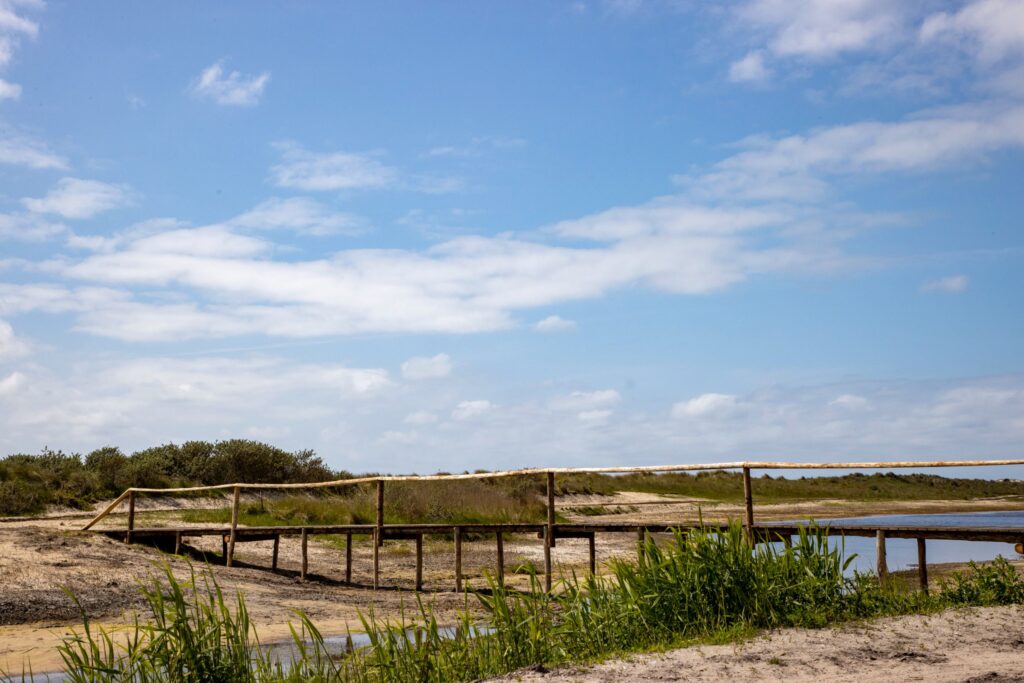 Evenementen Terschelling Berenloop