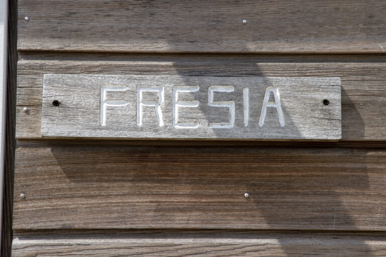 Fresia Foto